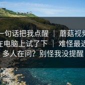 朋友一句话把我点醒 ｜ 蘑菇视频官网——在电脑上试了下 ｜ 难怪最近这么多人在问？别怪我没提醒