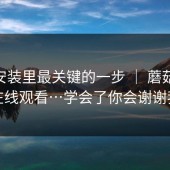 iOS 安装里最关键的一步 ｜ 蘑菇影视在线观看…学会了你会谢谢我