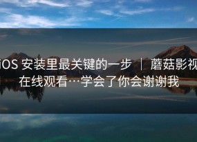 iOS 安装里最关键的一步 ｜ 蘑菇影视在线观看…学会了你会谢谢我