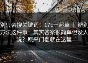 别只会搜关键词：17c一起草 ｜ 辨别方法这件事：其实答案很简单但没人说？原来门槛就在这里